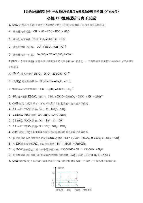 2024年广东省高考化学总复习高频考点必刷题13 微观探析与离子反应含详解