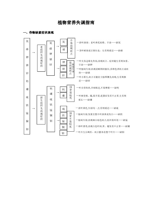 植物营养失调指南