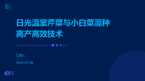 日光温室芹菜与小白菜混种高产高效技术