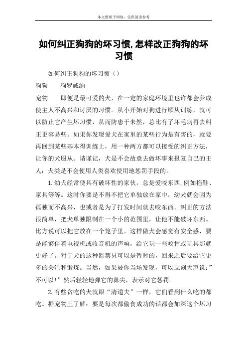 如何纠正狗狗的坏习惯,怎样改正狗狗的坏习惯