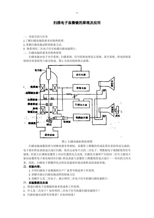 扫描电子显微镜的原理及应用