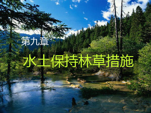 第九章  水土保持林草措施