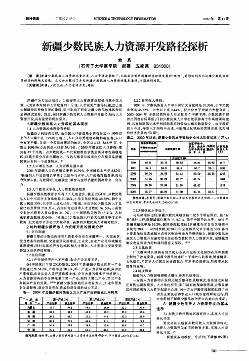 新疆少数民族人力资源开发路径探析