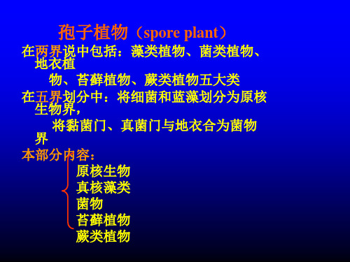 植物学课件 一藻类