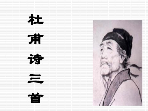 杜甫诗三首 .ppt