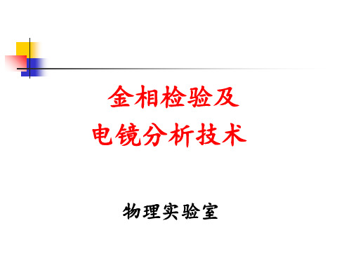 金相检验及电镜分析ppt课件