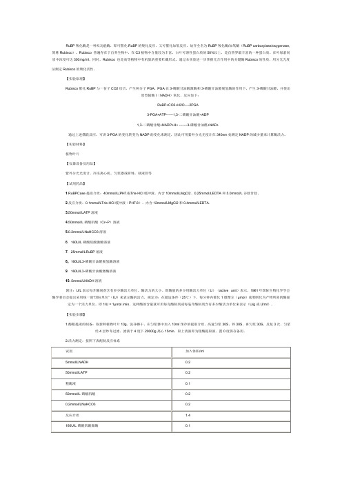 rubp羧化酶活性测定方法