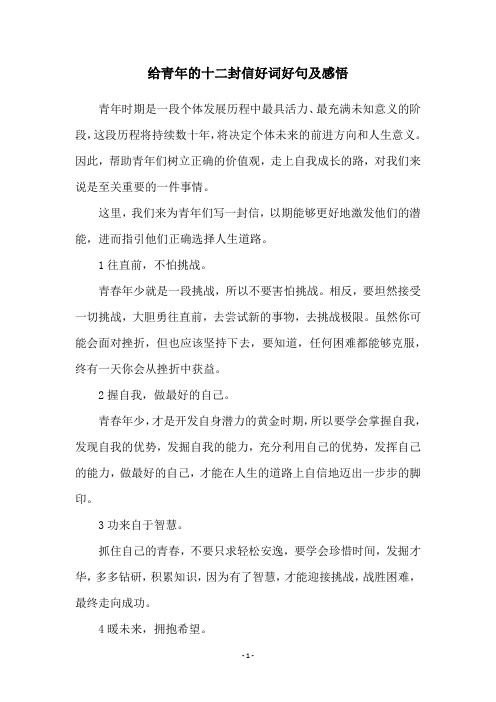 给青年的十二封信好词好句及感悟