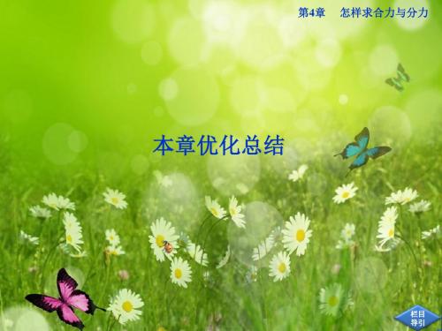 【导与练】(金秋开)沪科版高中物理必修1第4章《怎样求解合力与分立》本章优化总结课件(19张ppt)(共19