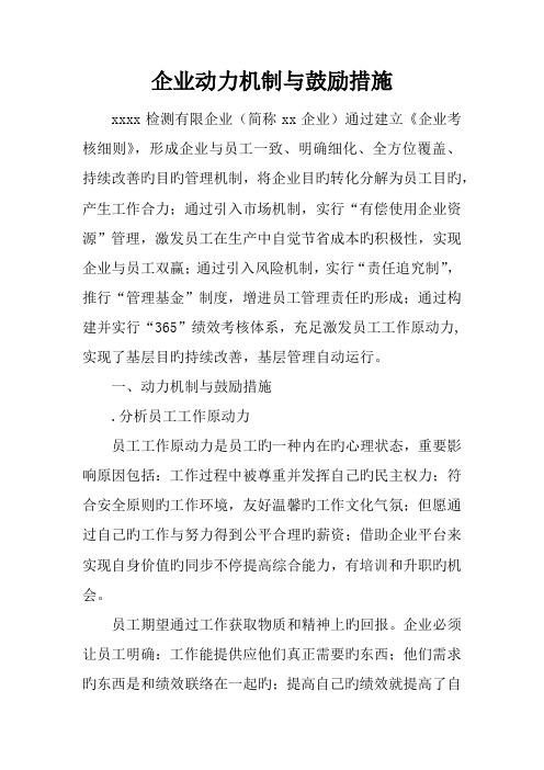 公司动力机制与激励措施