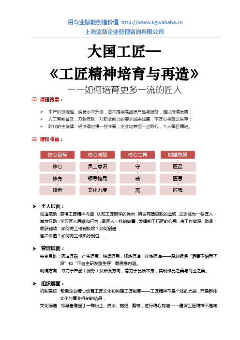 大国工匠——工匠精神培育与再造