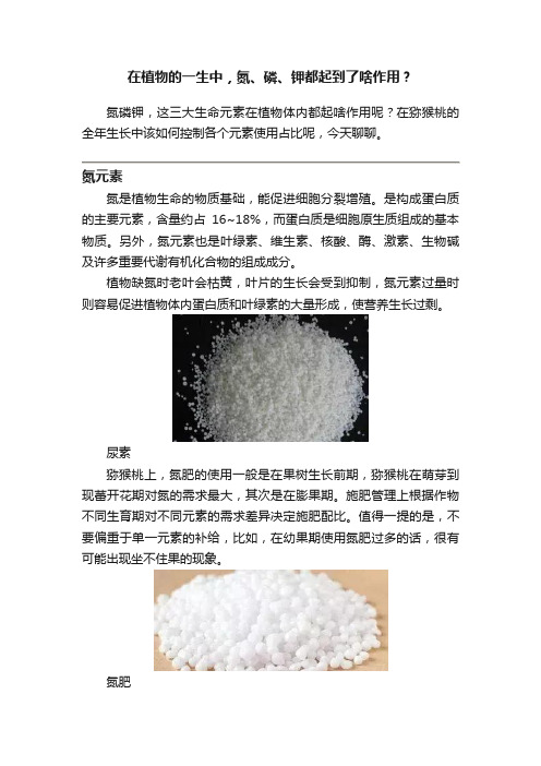 在植物的一生中，氮、磷、钾都起到了啥作用？