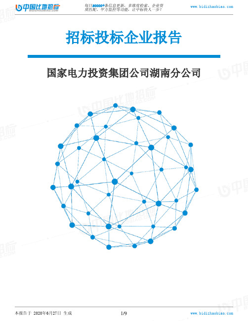 国家电力投资集团公司湖南分公司-招投标数据分析报告