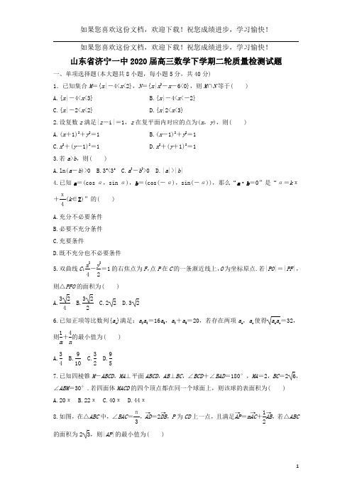 山东省济宁一中2020届高三数学下学期二轮质量检测试题