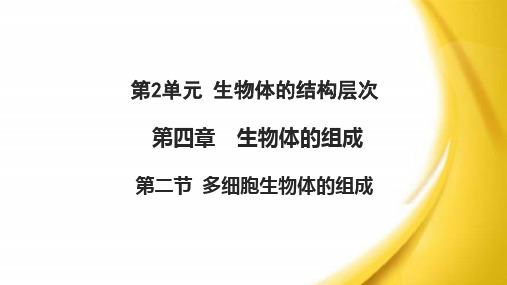 苏教版七年级生物上册： 多细胞生物体的组成  课件