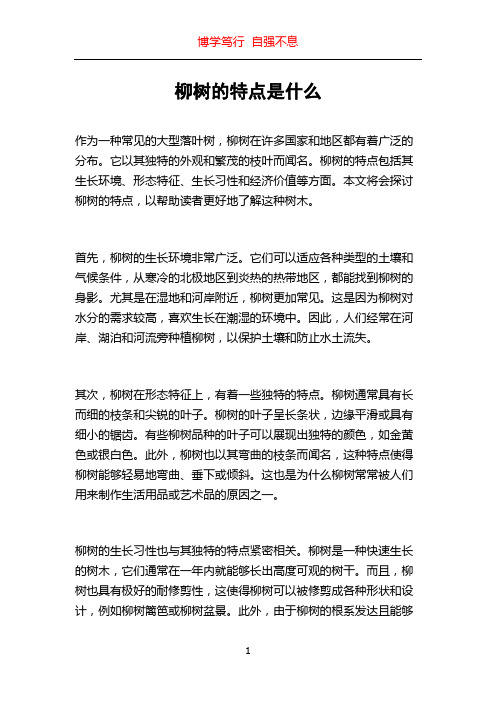 柳树的特点是什么