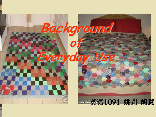 高级英语 Everyday Use 背景资料