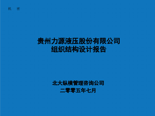 组织设计-贵州力源液压股份有限公司组织结构设计报告 精品