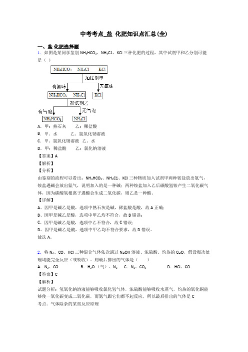 中考考点_盐 化肥知识点汇总(全)