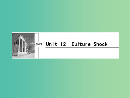 高考英语一轮复习 Unit12 Culture Shock课件 北师大版必修4