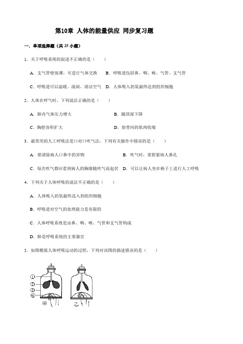 北师大版生物七年级下册第10章 人体的能量供应 同步复习题(含答案)