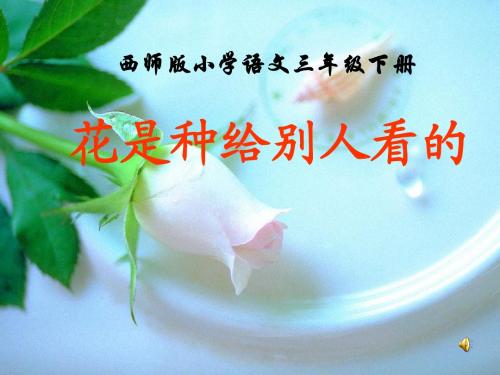 28《花是种给别人看的》课件3-西师大版三年级下册语文