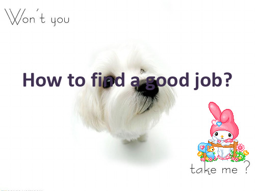 How to find a good job 英语PPT