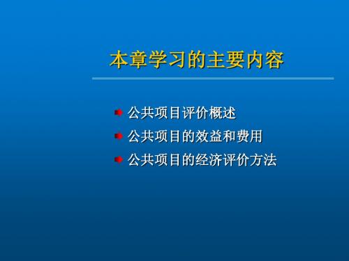 技术经济学第7章 公共项目的经济评价