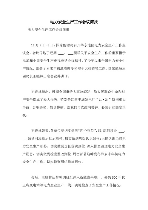 2021年电力安全生产工作会议简报