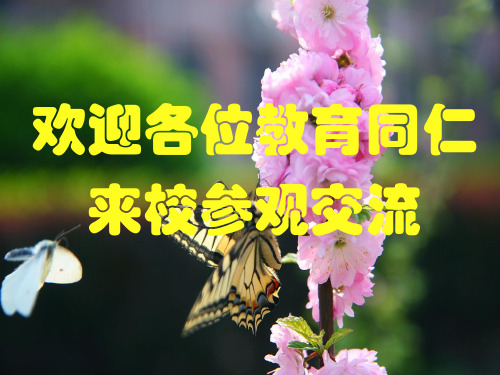 河北省衡水二中2017年化学高考二、三轮复习  备考策略研讨1月6日 (共151张PPT)