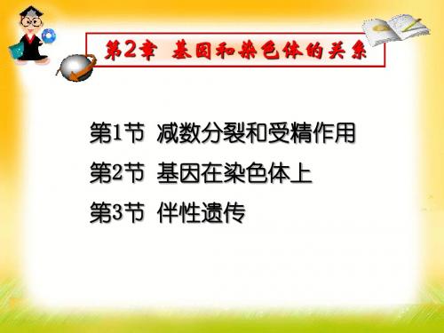 必修二生物第二章本章复习