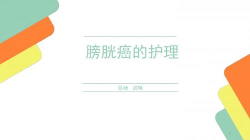 膀胱癌的护理PPT课件