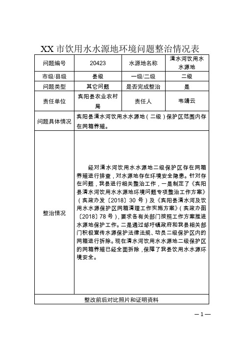 市饮用水水源地环境问题整治情况表【模板】