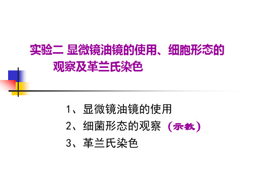 2实验二显微镜油镜的使用、细胞形态的观察及革兰氏染色