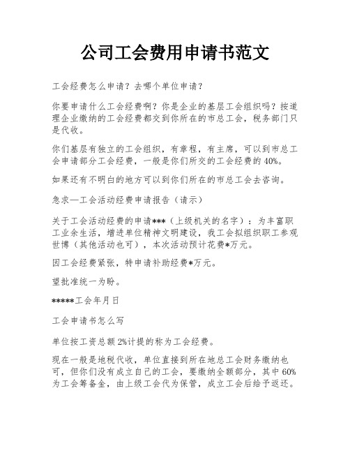 公司工会费用申请书范文