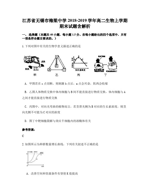 江苏省无锡市梅梁中学2018-2019学年高二生物上学期期末试题含解析