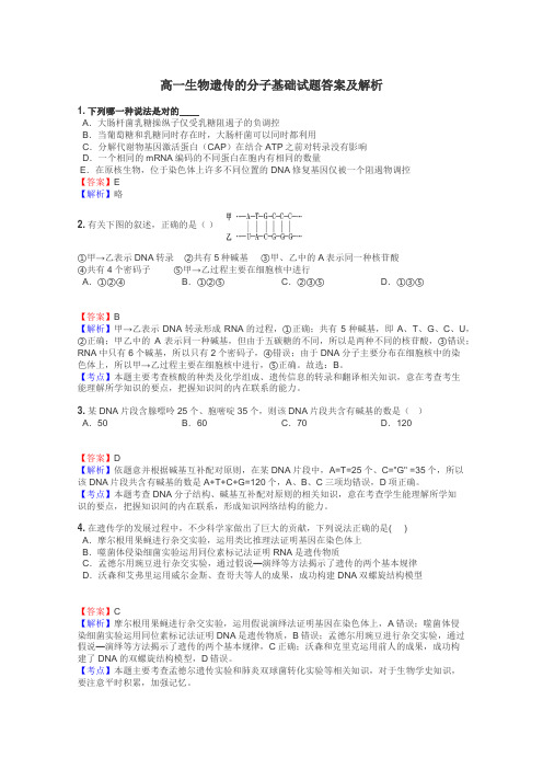 高一生物遗传的分子基础试题答案及解析
