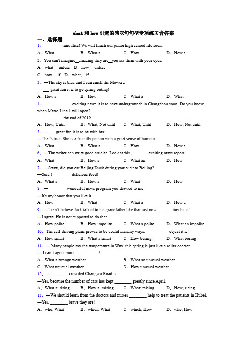 what和how引起的感叹句句型专项练习含答案