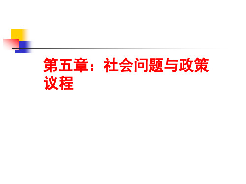 第五章：社会问题、政策议程和公共政策调查