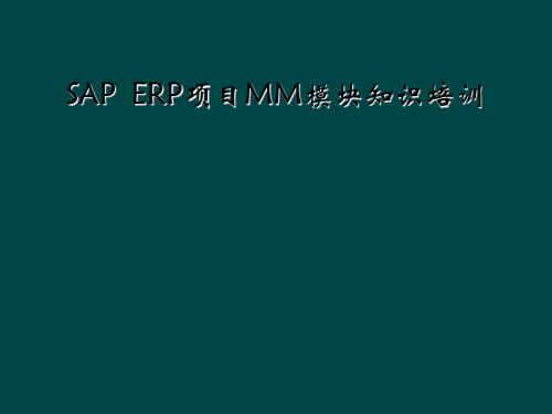 SAP  ERP项目MM模块知识培训