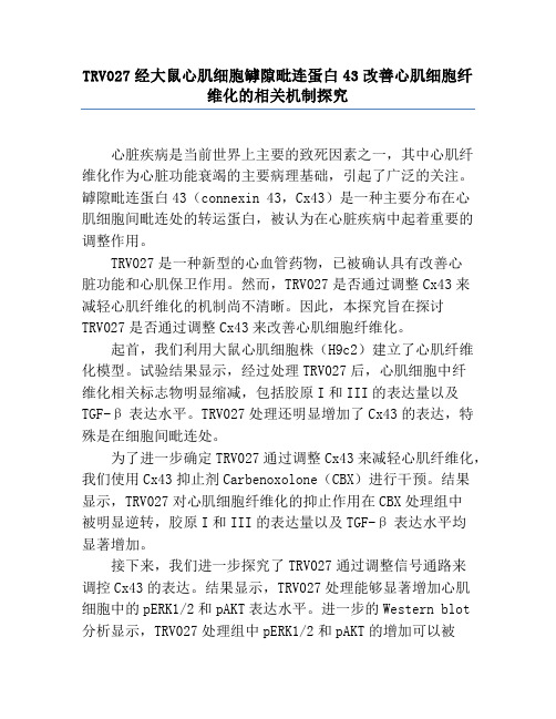 TRV027经大鼠心肌细胞缝隙连接蛋白43改善心肌细胞纤维化的相关机制研究