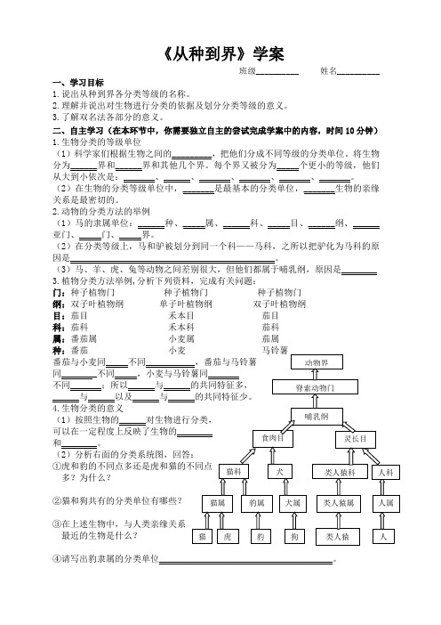 从种到界