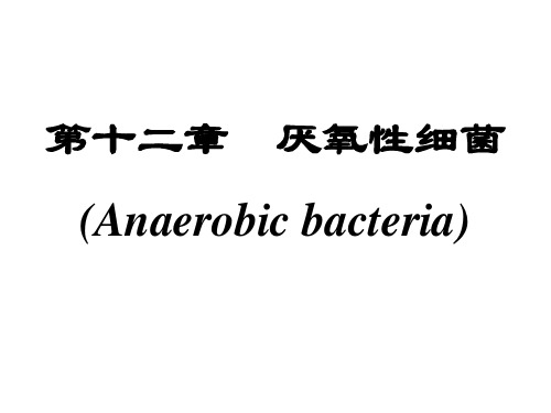 厌氧性细菌Anaerobicbacteria