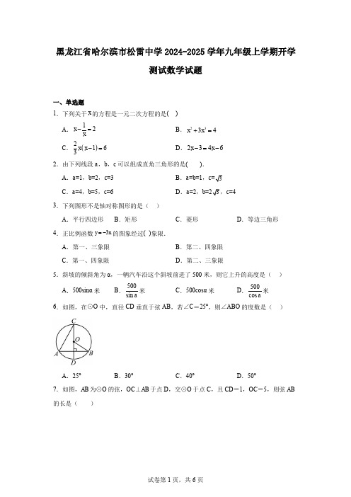 黑龙江省哈尔滨市松雷中学2024-2025学年九年级上学期开学测试数学试题