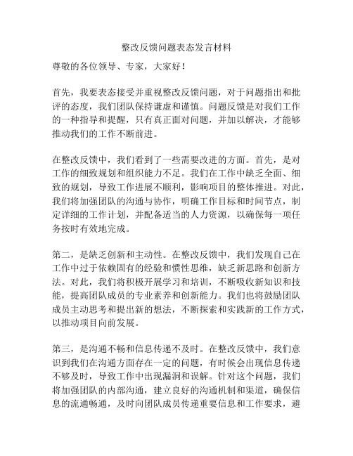 整改反馈问题表态发言材料