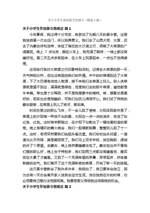 关于小学生参加夏令营感言（精选4篇）