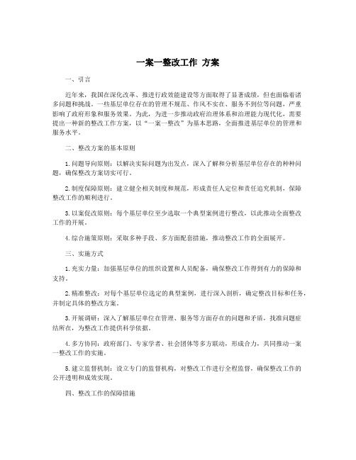 一案一整改工作 方案