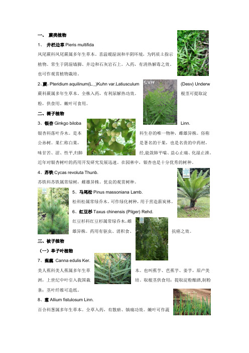 20种植物的拉丁文名、科名、生物学特性、用途及图片