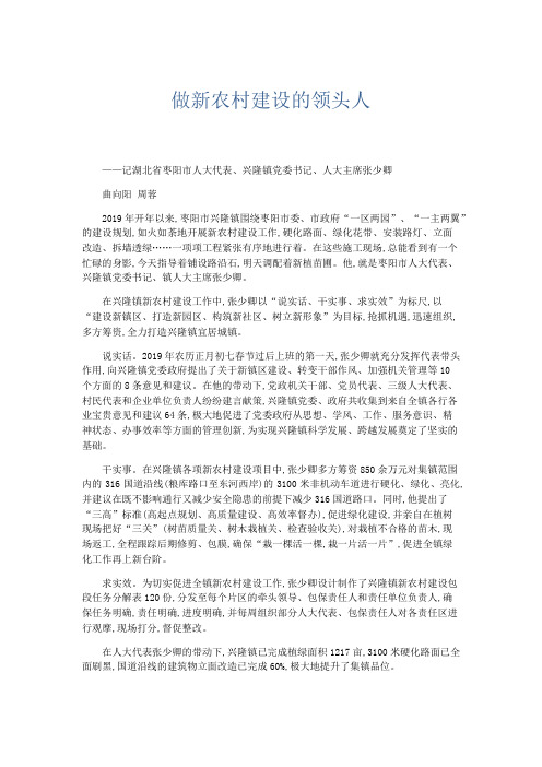 文秘知识-做新农村建设的领头人 精品