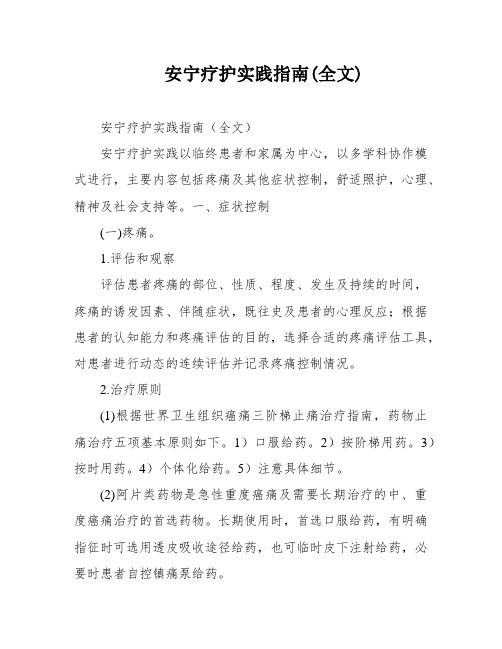 安宁疗护实践指南(全文)